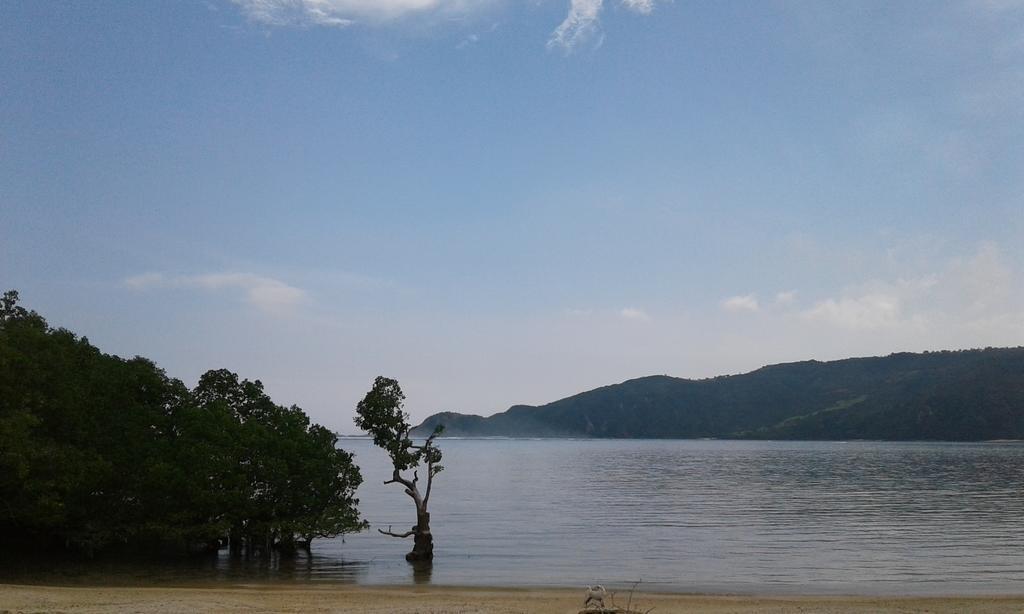 Roby Homestay Kuta  Екстер'єр фото